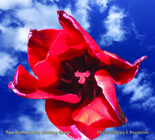 Roedelius,hans-joachim / Begg,michael - Two Gather In The Waiting Room - Music CD