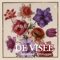 Visee / Otzbrugger - Johannes Otzbrugger Plays - Music CD