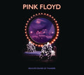 Pink Floyd - Delicate Sound Of Thunder - Music CD