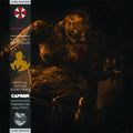Capcom Sound Team - Resident Evil 5 - O.s.t. - Vinyl Record