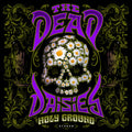 Dead Daisies - Holy Ground - Music CD