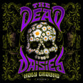Holy Ground Music CD