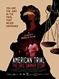 American Trial: Eric Garner Story - American Trial: Eric Garner Story - DVD