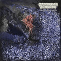Sulfuric Disintegration [LP] Vinyl Record