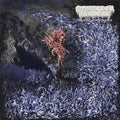 Of Feather & Bone - Sulfuric Disintegration - Music CD