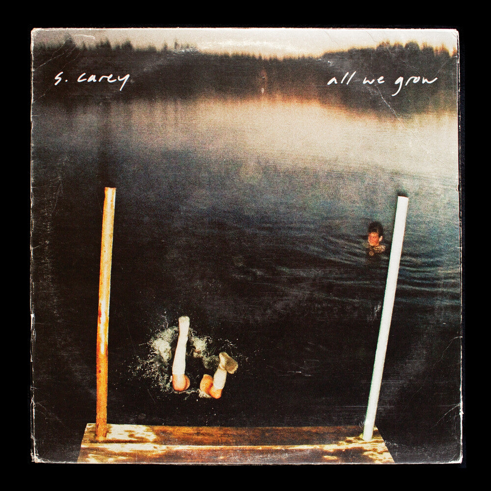 S. Carey 'All We Grow (Ten Year Anniversary Edition) (Seaglass Wave Translucent Vinyl) [LP] Vinyl Record