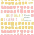 Big Joanie And Charmpit - Kluster Rooms Sessions - Vinyl Record