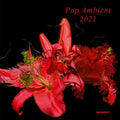 Pop Ambient 2021 / Various - Pop Ambient 2021 / Various - Music CD