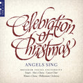 Celebration Of Christmas / Various - Celebration Of Christmas / Various - Music CD