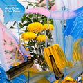 Octo Octa / Drew,eris - Fabric Presents Octo Octa & Eris Drew - Music CD