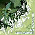Cheer-accident - Fringements One - Music CD