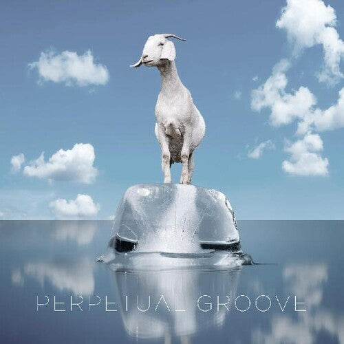 Perpetual Groove - Perpetual Groove - Vinyl Record