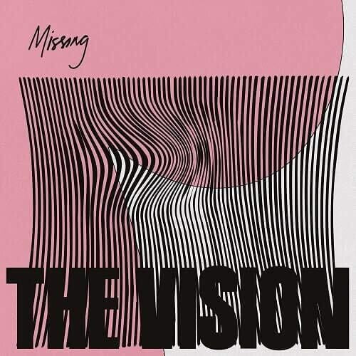 Vision - Missing - Vinyl Record
