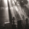 Oneirogen - Veni Nox Anima - Vinyl Record