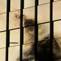 Dominic - Dominic - Vinyl Record
