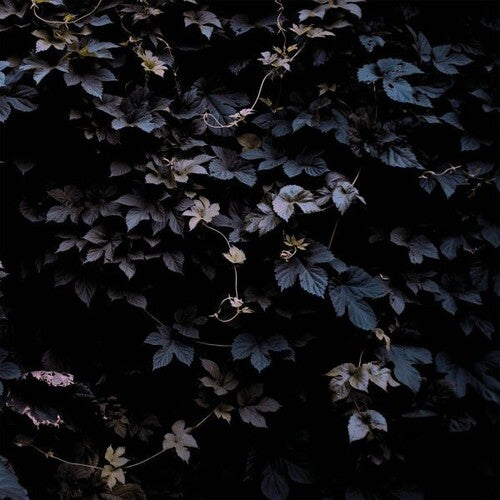 Vallera,michael - Vivid Flu - Vinyl Record