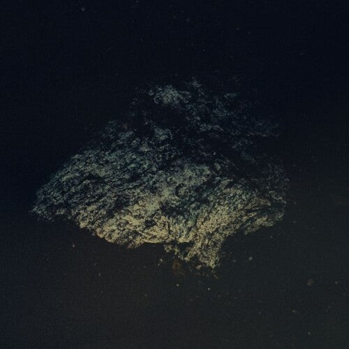 Multicast Dynamics - Lost World - Vinyl Record