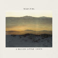 Wild Pink - Billion Little Lights - Music CD