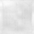 These New Puritans - Hidden (mmxx) - Vinyl Record
