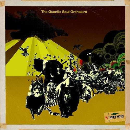 Quantic Soul Orchestra - Stampede - Vinyl Record
