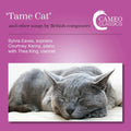 Tame Cat & Other Songs / Various - Tame Cat & Other Songs / Various - Music CD