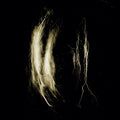 Plague Notes [LP] Vinyl Record