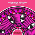 Knapp,kevin / Hutchtastic - Plump Sounds - Vinyl Record