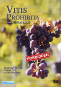 Vitis Prohibita - Vitis Prohibita - DVD