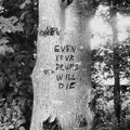 Even Your Drums Will Die: Live at Pendarvis Farm 2011 (IEX) [LP] Vinyl Record