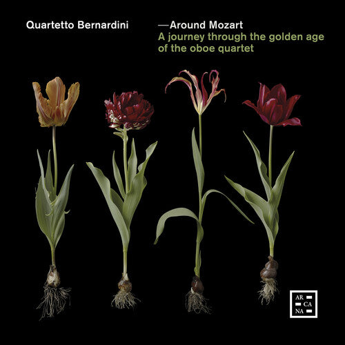 Around Mozart / Various - Around Mozart / Various - Music CD