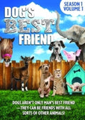 Dog's Best Friend: Season 1 Volume 1 - Dog's Best Friend: Season 1 Volume 1 - DVD