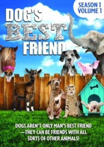 Dog's Best Friend: Season 1 Volume 1 - Dog's Best Friend: Season 1 Volume 1 - DVD