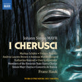 Mayr / Schafer / Hauk - I Cherusci - Music CD