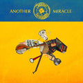 Steve N Seagulls - Another Miracle - Vinyl Record