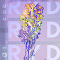 Ryd - Ryd - Vinyl Record