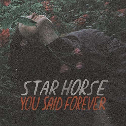 Star Horse - You Said Forever - Vinyl Record