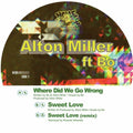 Where Did We Go Wrong [12" Vinyl] Vinyl Record