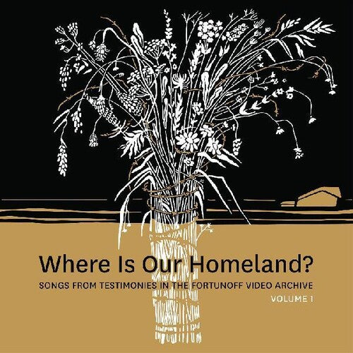 Slepovitch,zisl / Lurje,sasha - Where Is Our Homeland? Songs From Testimonies - Vinyl Record