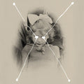 Current 93 - The Light Is Leaving Us All - Music CD