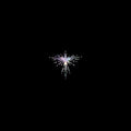 Karen O & Danger Mouse - Lux Prima - Music CD