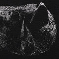 Demon Head - Viscera - Music CD
