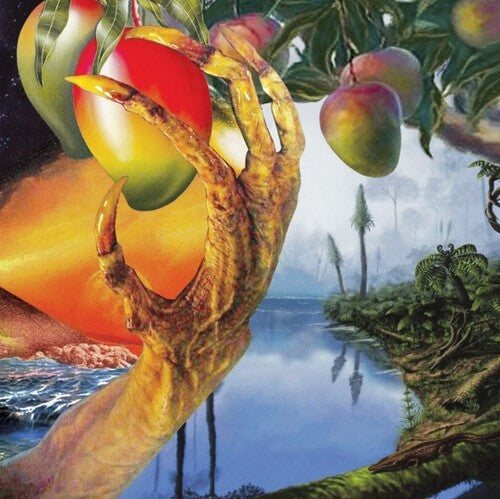 Timelash - Morphology Of Wonders - Vinyl Record