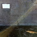 Desperate Journalist - In Search Of The Miraculous - Music CD