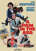 Pain In The Ass (1973) - Pain In The Ass (1973) - DVD
