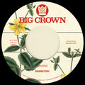 Brainstory - Seasons / Bye Bye - Vinyl Record