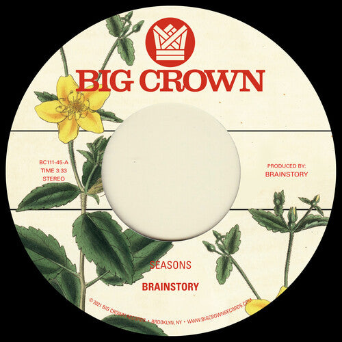 Brainstory - Seasons / Bye Bye - Vinyl Record