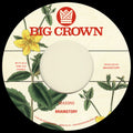Seasons / Bye Bye [7" Vinyl] Vinyl Record