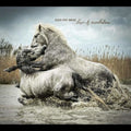 Over The Rhine - Love & Revelation - Music CD