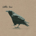 Crow (20th Anniversary Edition) [LP] Vinyl Record