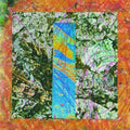 Merzbow - Rainbow Electronics - Vinyl Record